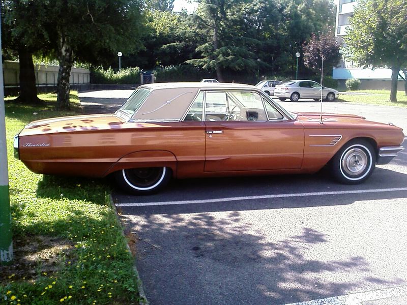 Bonjour à tous Pneu-tbird2